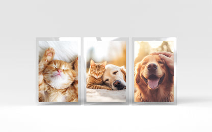 RF053X5C0025/ Premium 5 Mil Thermal Laminating Pouches, 3" x 5" Size, 25-Pack